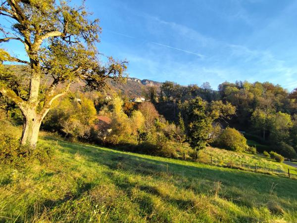 Appartement 3 pièces - 65 m² Exclusivité efficity