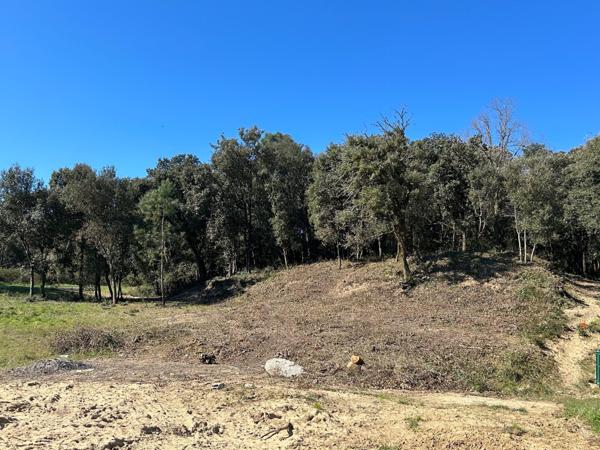 Terrain de 803 m2 aux Conches