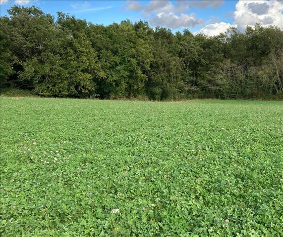 Terrain à vendre |  Saint-Sauveur-Lalande |  1722 m²