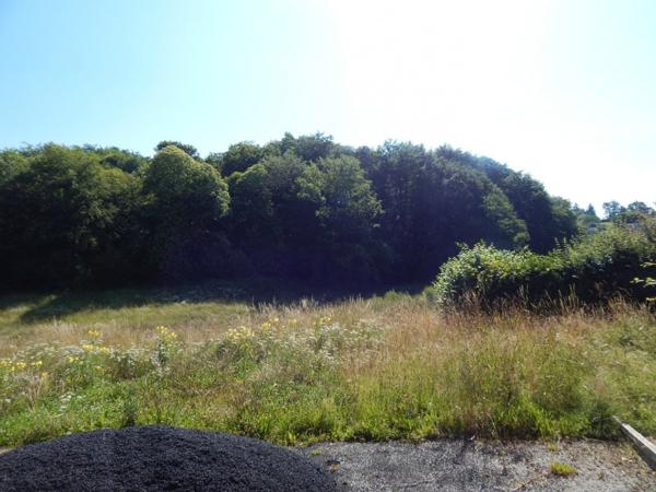 Maison à rénover avec jardin 611 m2