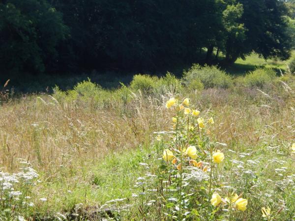 Maison à rénover avec jardin 611 m2