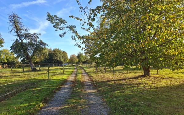 Maison à vendre    3 pièces •  Bernay
