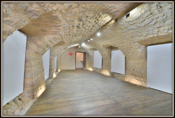 Maison Caussenarde remarquable à vendre 4 pièces LA CAVALERIE (12)