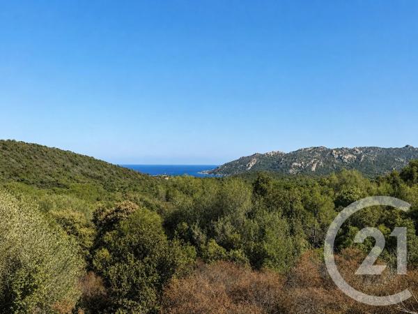 Terrain à vendre  1440 m 2   PORTO VECCHIO  - 201