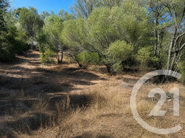 Terrain à vendre  1440 m 2   PORTO VECCHIO  - 201