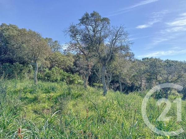 Terrain à vendre  1440 m 2   PORTO VECCHIO  - 201
