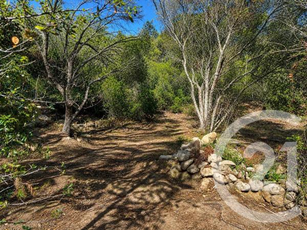 Terrain à vendre  1440 m 2   PORTO VECCHIO  - 201