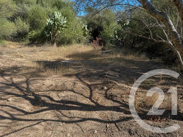 Terrain à vendre  1440 m 2   PORTO VECCHIO  - 201