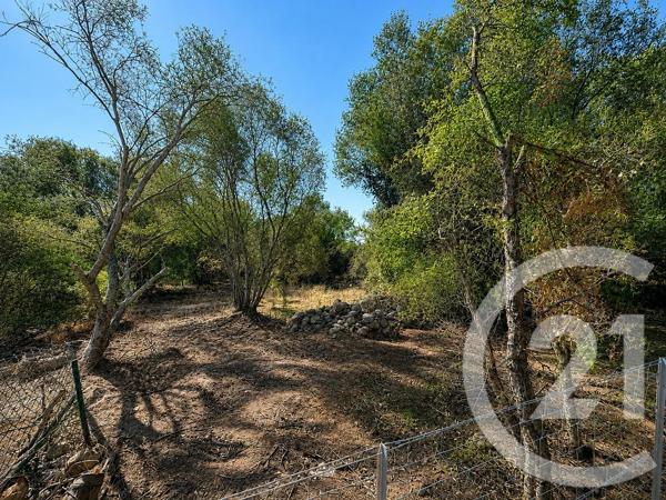 Terrain à vendre  1440 m 2   PORTO VECCHIO  - 201