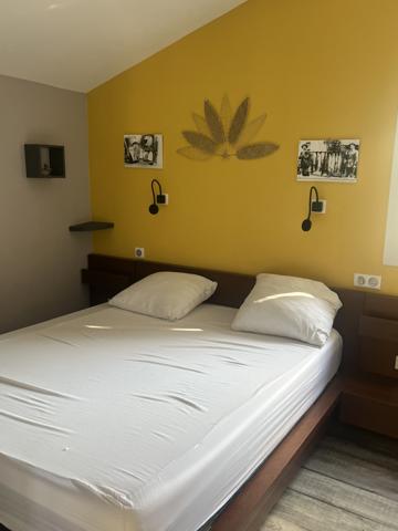 Bidache (64520) Maison atypique + maisonnette T2 dans un charmant bourg