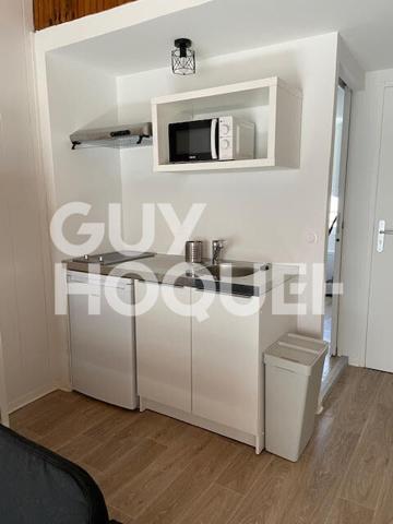 Agréable T1 bis rénové et meublé