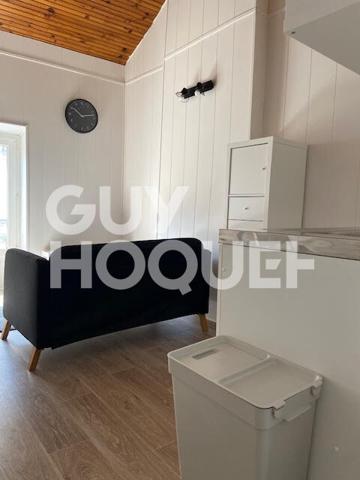 Agréable T1 bis rénové et meublé