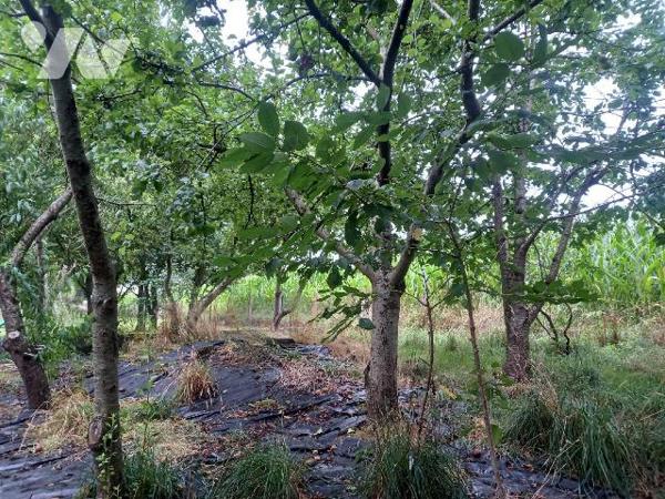 Exclusivement à l'Etude, En campagne à LUITRE, Maison en pierre de 10 m x 11 m au sol à rénover...