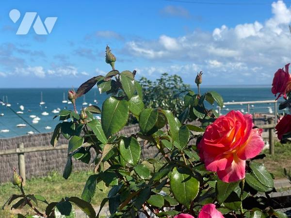 CANCALE /PORT MER MAISON A RÉNOVER