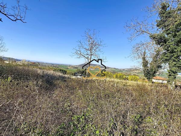 GRAND TERRAIN VIABILISÉ AVEC VUE - ST GEORGES SUR ALLIER 63800