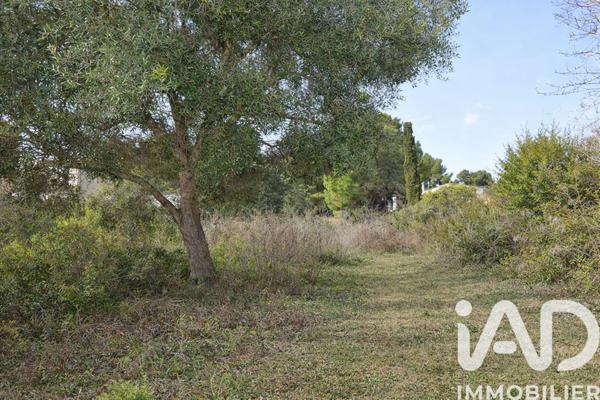 Terrain à vendre 2 716 m² Poussan