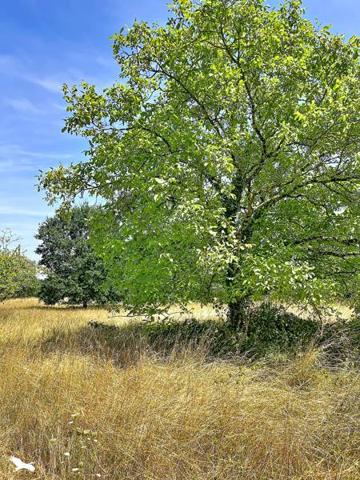 Terrain 30 000 € Noyers-sur-Cher 2452 m² DPE