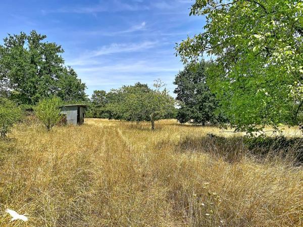 Terrain 30 000 € Noyers-sur-Cher 2452 m² DPE