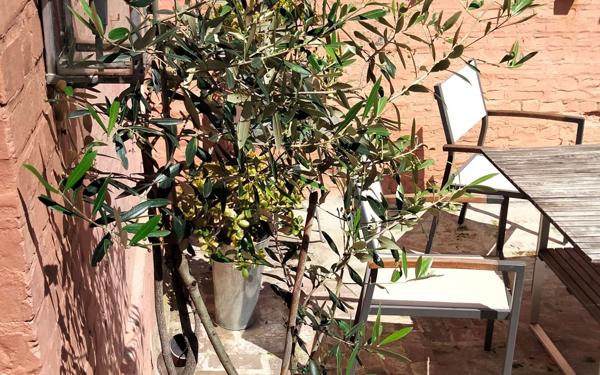 Maison à vendre    5 pièces • 85 m2 Mers-les-Bains