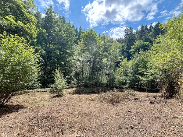 EXCLUSIVITE !  Maison Yssingeaux  de plus de 150 m2 a  5 minutes de l axe 88