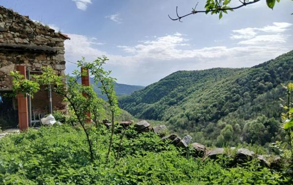 Vente Terrain Avec ruine à rénover Corsavy   