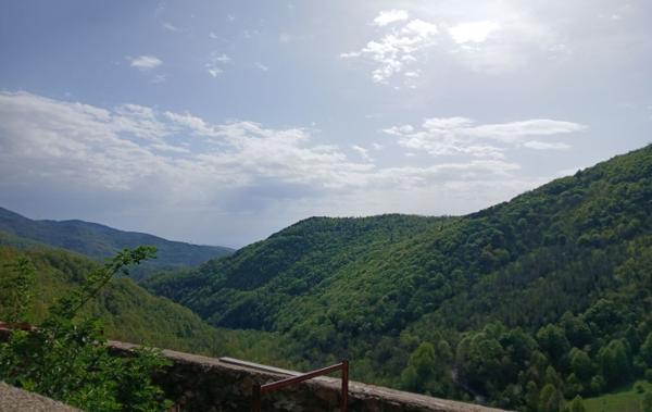 Vente Terrain Avec ruine à rénover Corsavy   