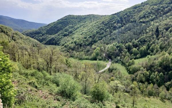 Vente Terrain Avec ruine à rénover Corsavy   
