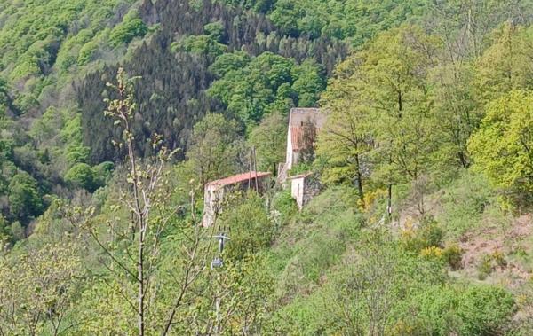Vente Terrain Avec ruine à rénover Corsavy   
