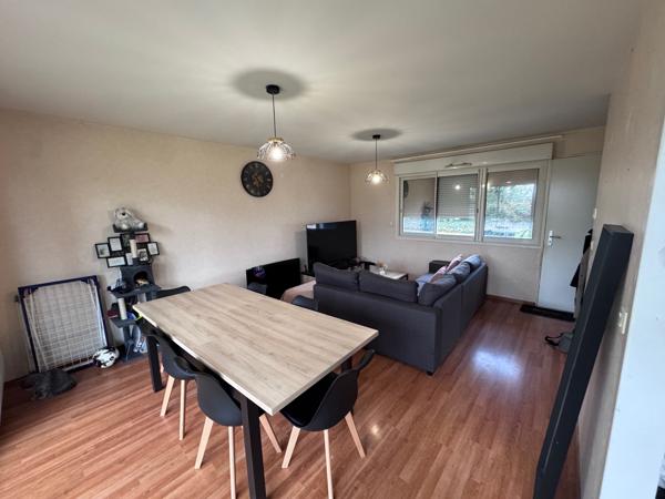 ✨ EXCLUSIVITÉ – NOUVEAUTÉ ✨