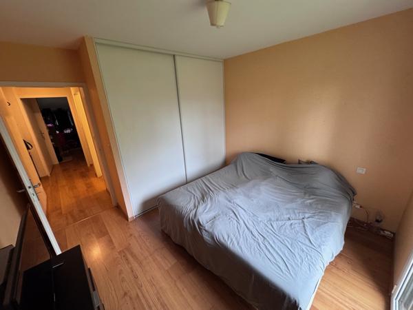 ✨ EXCLUSIVITÉ – NOUVEAUTÉ ✨