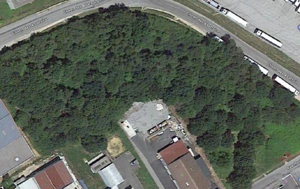 Vente Terrain Saint-junien   