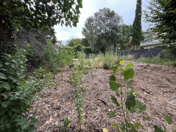Terrain 265 500 € Orvault 503 m² DPE