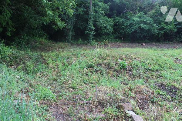 Terrain constructible