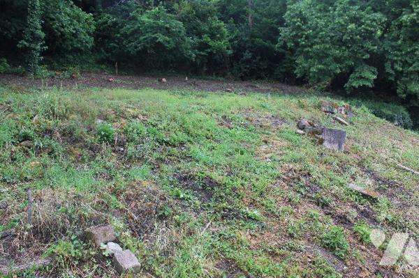 Terrain constructible