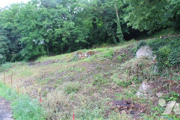 Terrain constructible