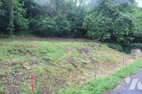 Terrain constructible