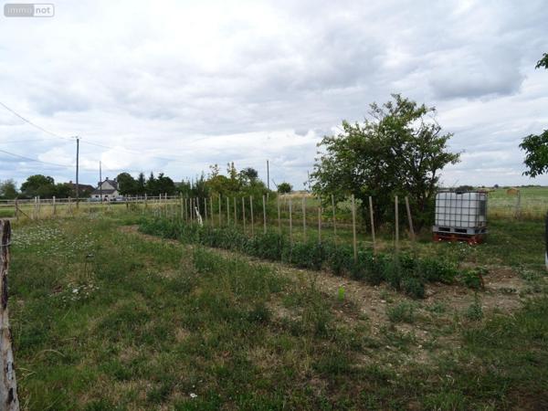 Maison à vendre à Buzançais dans l'Indre (36500), ref : 36019/807