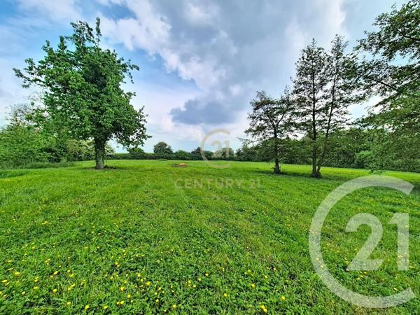 Maison à vendre  4 pièces - 287,40 m 2   NIEPPE  - 59