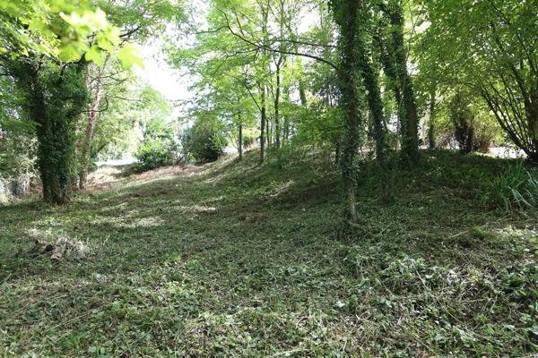 Vente Terrain 3133 m2 à Tavers