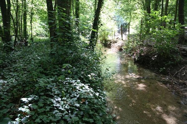 Vente Terrain 3133 m2 à Tavers