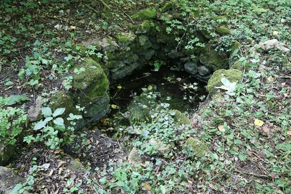 Vente Terrain 3133 m2 à Tavers