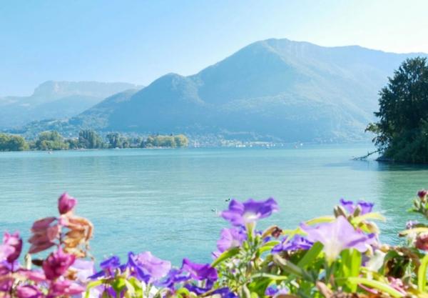 Appartement 2 pièces Résidence Seniors