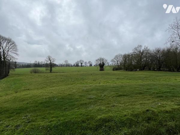 Plemy - Maison en pierre avec terrain