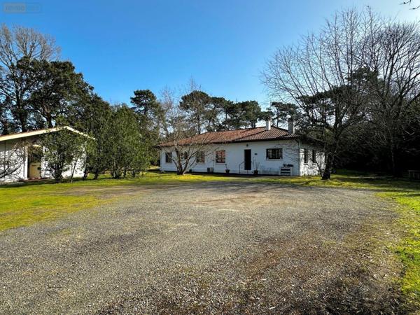 Maison à vendre à Labenne dans les Landes (40530), ref : 1205905/603
