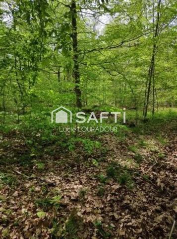 ? À SAISIR — Terrain de Loisirs à Chaligny (54230) ?