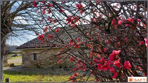 Maison pierre 180m2, 4 chambres sur parcelle 1hectare