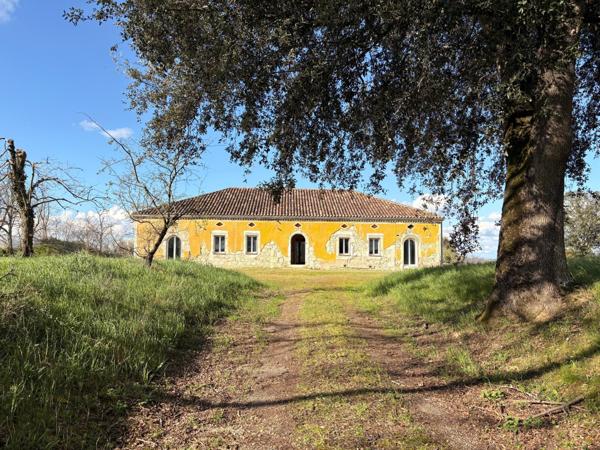 Propriété en pierre – 360 m² – 1,5 hectare – Oliviers – Projet d’exception à finaliser