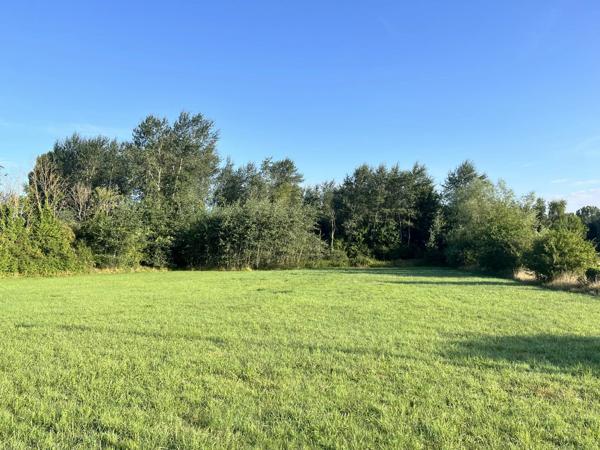 Vente                                                      Terrain
                        
                                         1200 m2                     à Presles-Et-Thierny