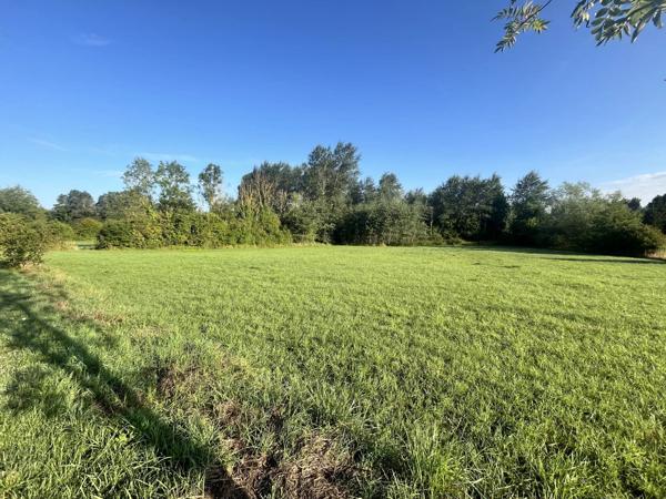 Vente                                                      Terrain
                        
                                         1200 m2                     à Presles-Et-Thierny