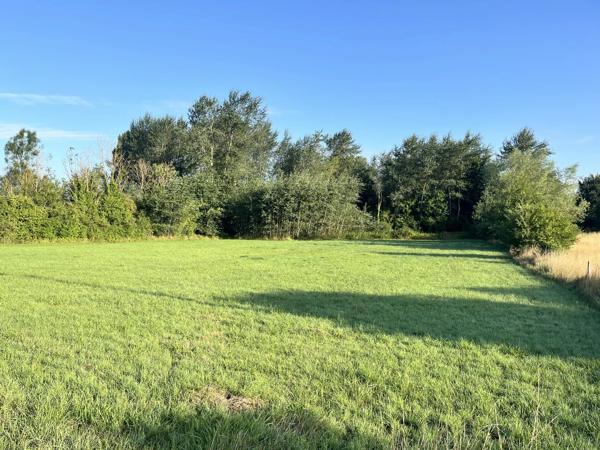 Vente                                                      Terrain
                        
                                         1200 m2                     à Presles-Et-Thierny